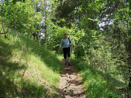 ab hier geht es nur noch  bergab