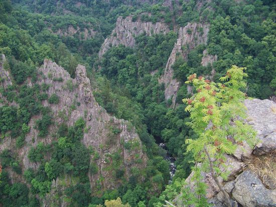der Verfolger Botho hat es nicht geschafft und ist gleich weiter in die Schlucht geflogen mit seinem Pferd