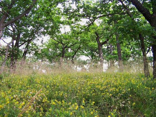 obwohl es hier oben doch recht schön ist