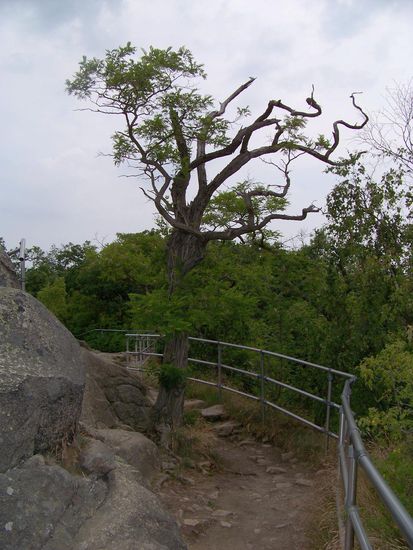 und deshalb geht es  zurück