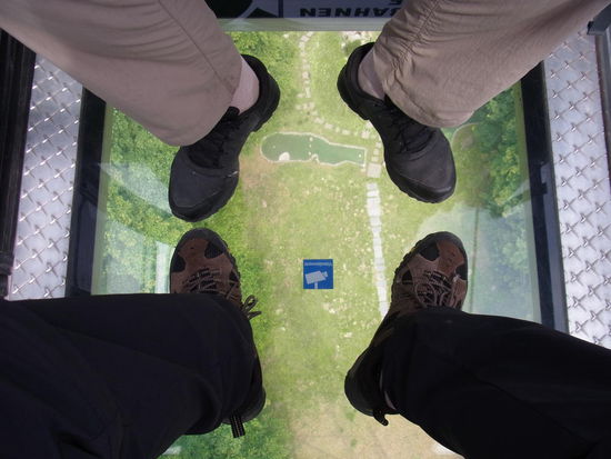 erst mal der Blick durch den Glasboden