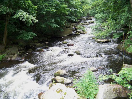 bevor es weiter geht