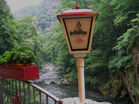 Blick vom Biergartentisch