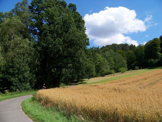 Die hier geht ja noch