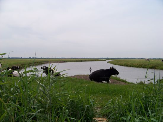 Ausruhen ist für uns jetzt nicht angesagt...