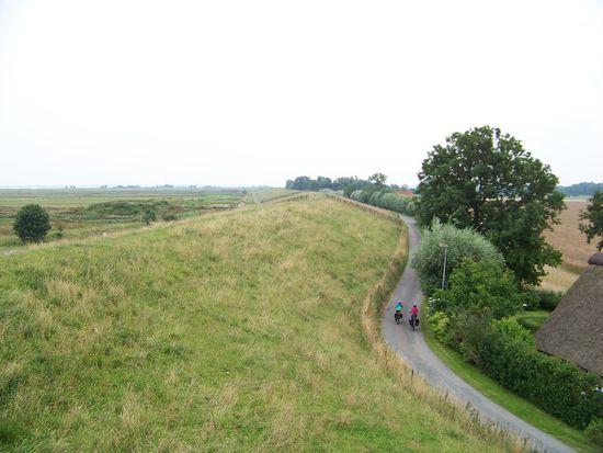 Der "Naturblick" im Original