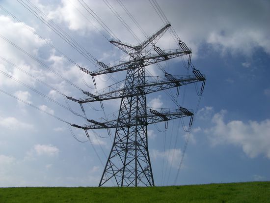 ...und es summt ganz schön darunter.