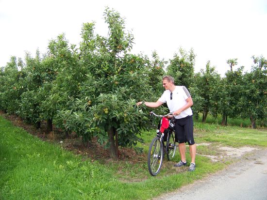 ...leider sind die Früchte noch nicht reif...