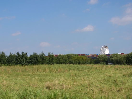das Containerschiff versteckt sich allerdings ganz gut hinter der Böschungsvegetation