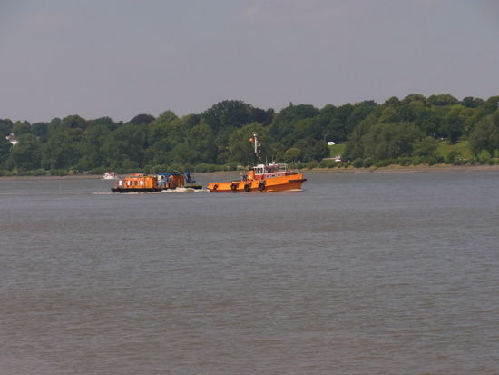 und es kreucht und fleucht so einiges auf dem Wasser rum
