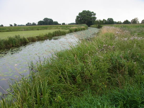trotz regnerischem Wetter schöne Aussichten