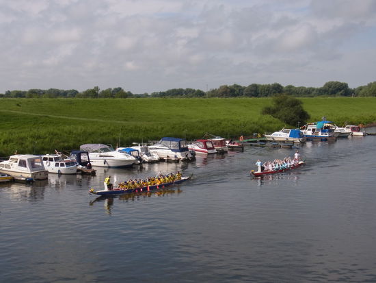 die ackern ganz schön, um vorwärts zu kommen