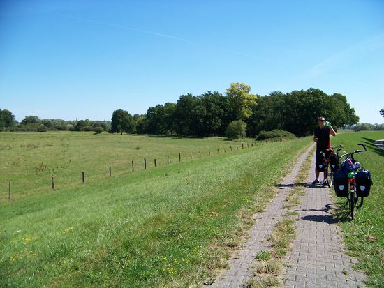 die Hitze macht durstig