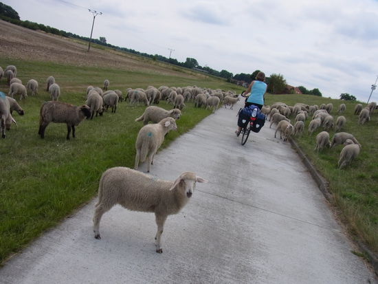 und das geht so - Was guckst Du??