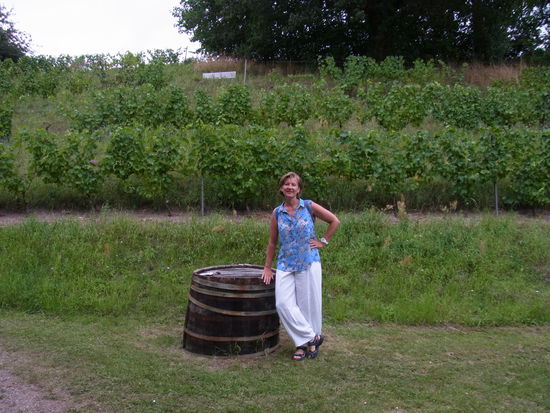 der wohl kleinste Weinberg Deutschlands mit 99 Reben - das Fass ist leider leer