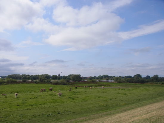 aber dafür gibt es hinterher ein Suchbild: wo fliegt der Seeadler?
