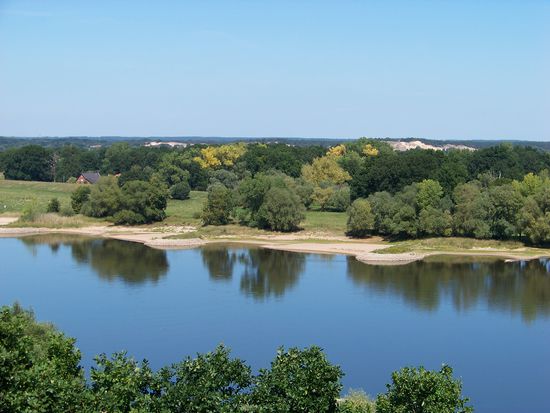 im Hintergrund sind Sanddünen