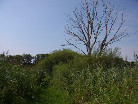 sieht aus wie im Nirgendwo