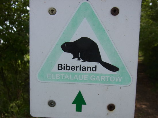 Willkommen im Biberland