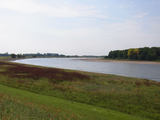 eine Elbe-Kurve