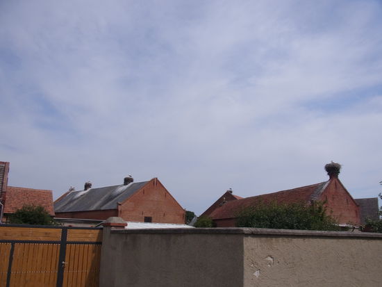 Storchennester soweit das Auge reicht