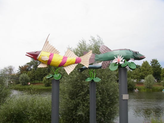 Diese Fische überleben bestimmt noch lange.