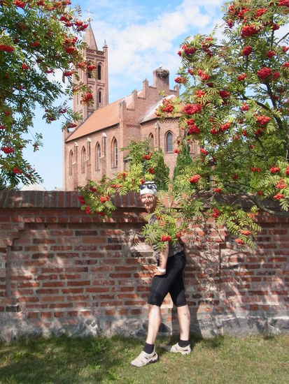 Storchennest auf der Kirche