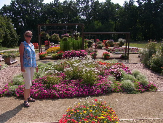 hier blüht schon ein wenig mehr