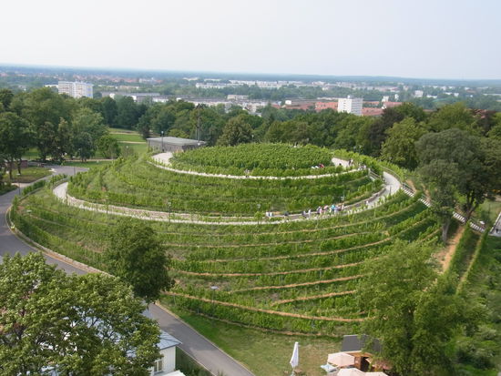 ...und dann den Blick auf den Weinberg am Marienberg bestaunen.