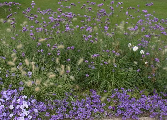 wieder unten: Farbe in Hülle und Fülle