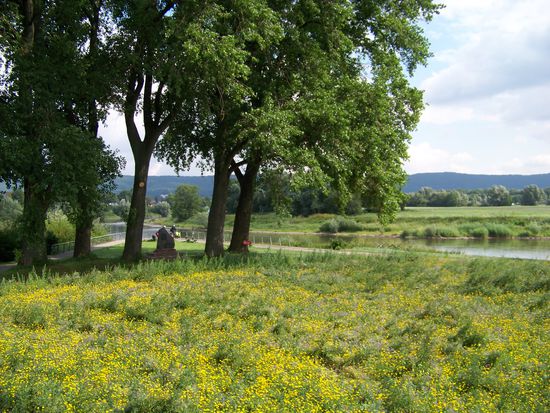 Und es blüht so herrlich in himmlischer Ruhe...