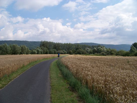 ...aahhh, war wohl zum Glück doch bloß ein kurzer böser Traum