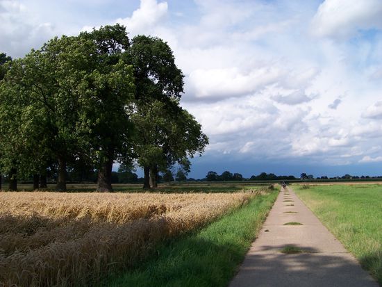 Nein, immer den Wolken hinterher, da kann nichts schief gehen.