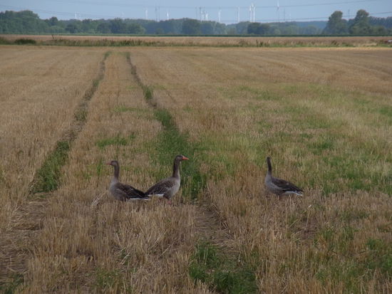 ...oder doch nicht?
In welche Richtung fliegen wir denn nun...