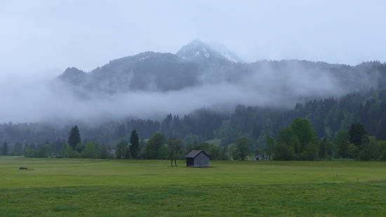 Am Morgen der erste Blick nach draussen...