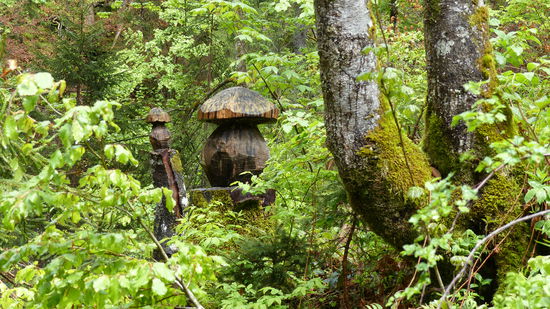 komische Pilze, aber ziemlich haltbar