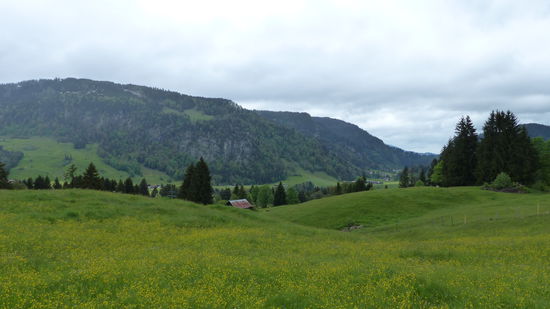zwischen Breitachklamm und Söllereck-Seilbahn