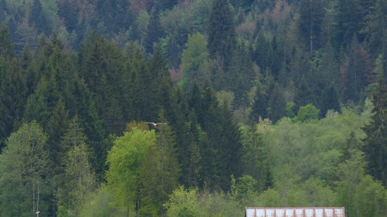 ...und gibt sich geschlagen und haut ab.