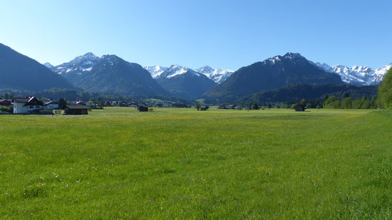Guten Morgen Berge!
Guten Morgen liebe Wiese!
Guten Morgen Vogelgezwitscher....