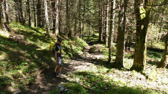 fröhlich und munter geht es den Berg hinunter...