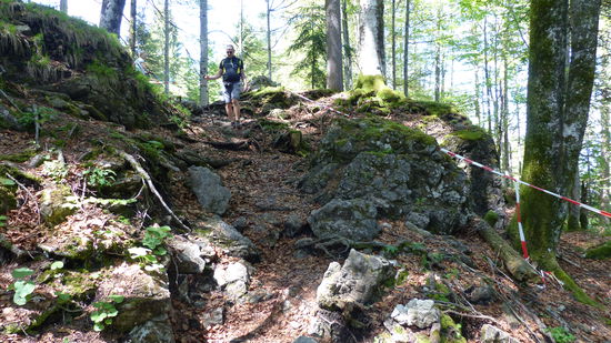 und Stein... ins Tal hinein.