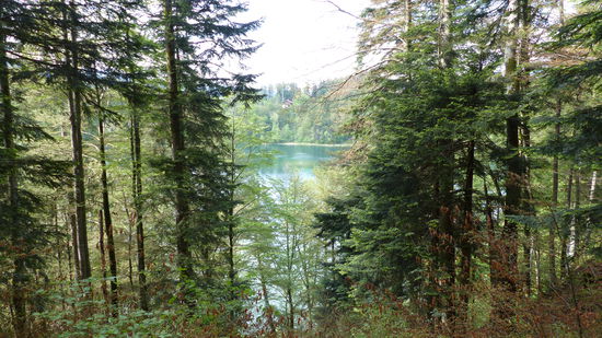 Freibergsee