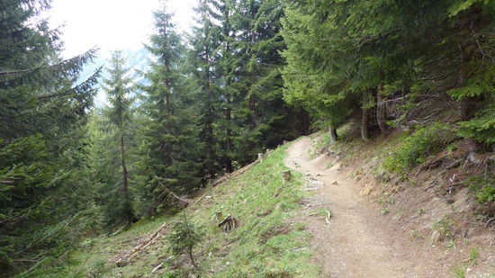 um danach weiter auf einsamen Wegen ins Tal zu wandern