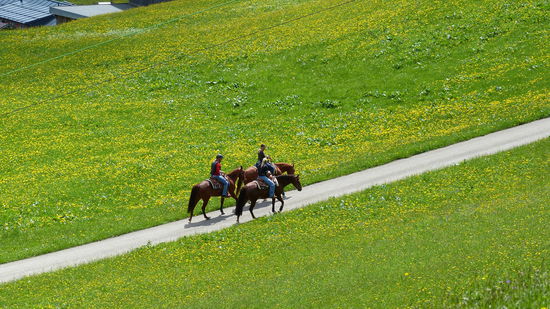so geht es natürlich auch bergauf