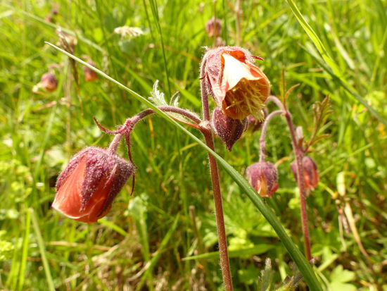 noch mal etwas näher