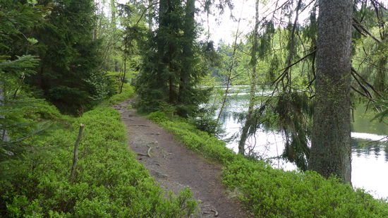Weg zur Station "Silbersee"