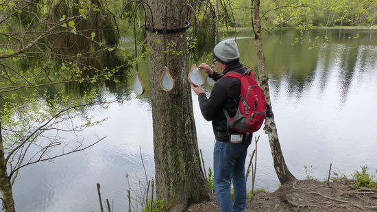 Die Tropfen muss man nass machen um zu sehen was drauf steht