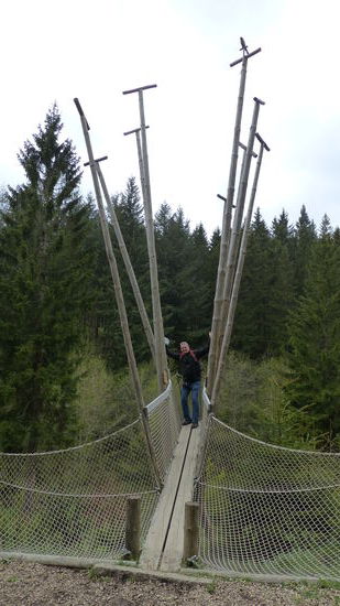 Station: "Vogel"
da klettern wir nicht hoch, zu steil
