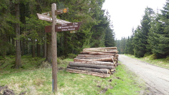die Beschilderung ist wirklich überall vorbildlich