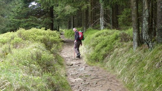 die letzte Etappe nach oben
